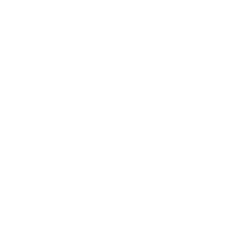  Menorah 